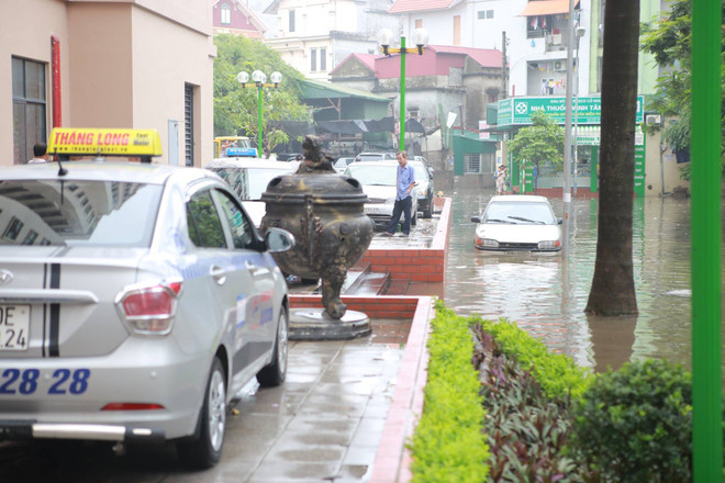 Taxi Thành Lợi ngập trong nước, lươn chui cả vào trong xe ảnh 6
