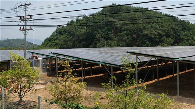 Ký hợp đồng EPC hai dự án điện Mặt Trời Phước Thái 2 và Phước Thái 3 ảnh 1