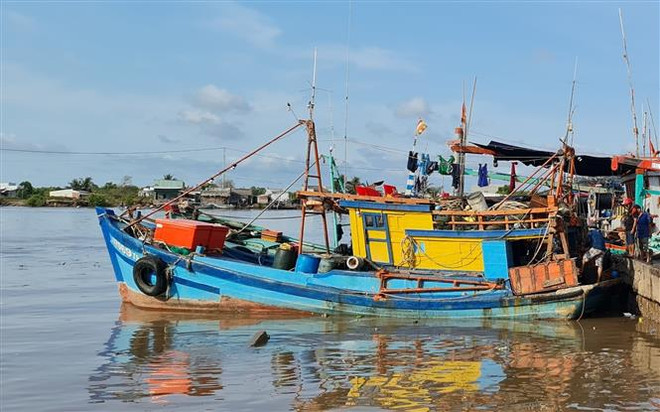 Ảnh minh họa. (Ảnh: Tuấn Kiệt/TTXVN) Thanh Hóa: Dân quân tự vệ biển - Chỗ dựa vững chắc của ngư dân ảnh 2