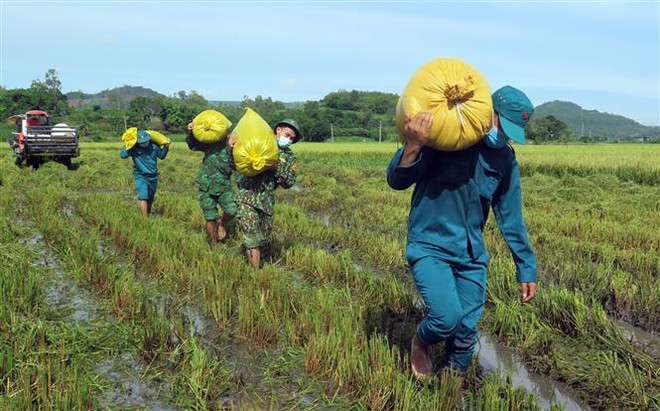 Phú Yên: Những người lính kề vai cùng người dân vượt qua bão, lũ ảnh 2