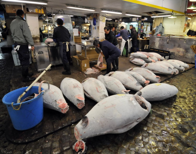 Hàn Quốc cân nhắc bỏ lệnh cấm nhập khẩu hải sản từ Nhật Bản ảnh 1