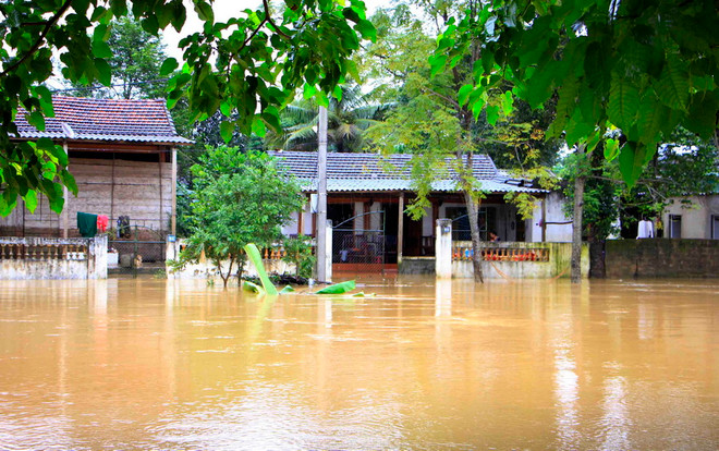 Mưa lũ ở Miền Trung: Hà Tĩnh ngập sâu trong biển nước ảnh 4