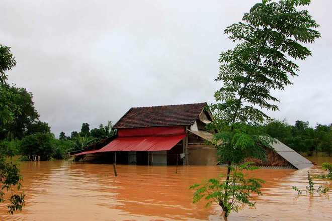 Mưa lũ ở Miền Trung: Hà Tĩnh ngập sâu trong biển nước ảnh 6