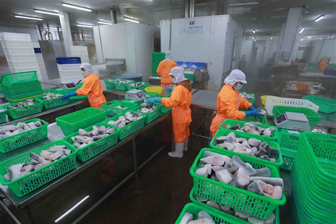 Để kinh tế Việt Nam đứng vững trước các bất ổn địa chính trị quốc tế ảnh 3