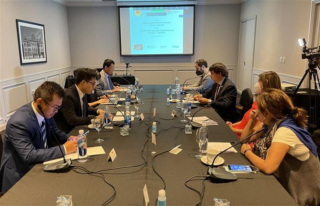 Giới thiệu thị trường thương mại Argentina cho doanh nghiệp Việt Nam ảnh 1