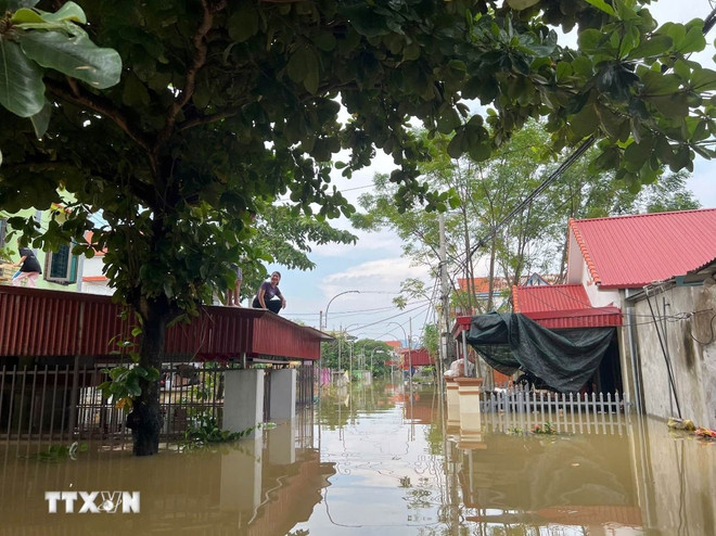 ttxvn_20240912_nho quan_ninh binh_ngap lut (8).jpg