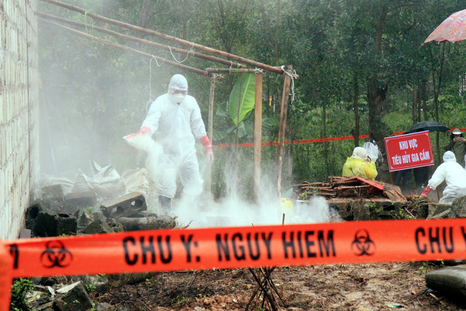 Diễn tập phòng, chống H7N9 và cúm gia cầm động lực cao lây sang người ảnh 2