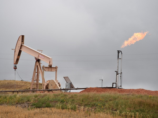 UAE dự tính đầu tư hơn 160 tỷ USD để đa dạng hóa năng lượng ảnh 1