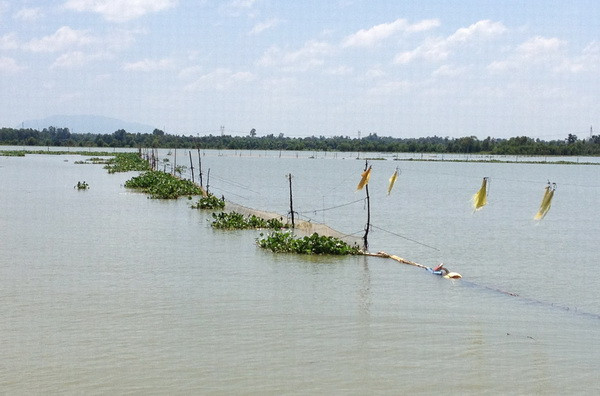 Diện tích nuôi thủy sản chất lượng cao ở Cần Thơ tăng gấp đôi ảnh 1