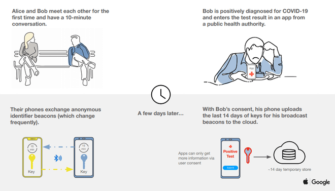 Apple, Google hợp tác theo dõi dịch COVID-19 bằng ứng dụng điện thoại ảnh 2