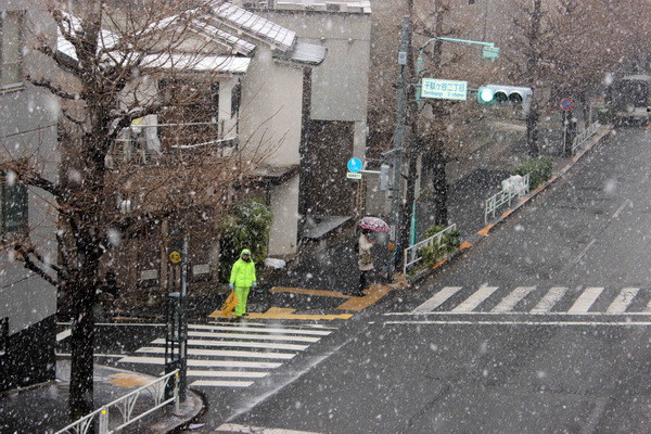 Nhiều nơi của Nhật Bản chìm trong giá rét của trận mưa tuyết lớn ảnh 6