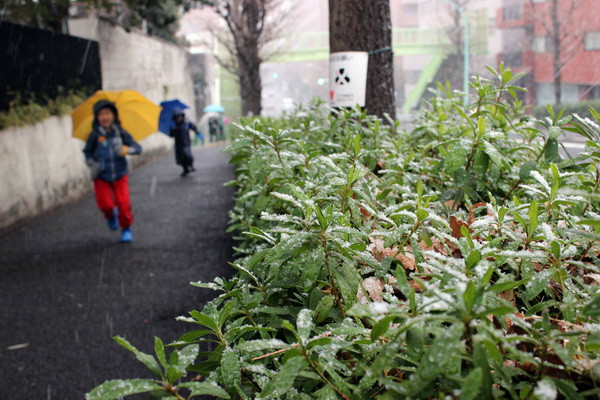 Nhiều nơi của Nhật Bản chìm trong giá rét của trận mưa tuyết lớn ảnh 3