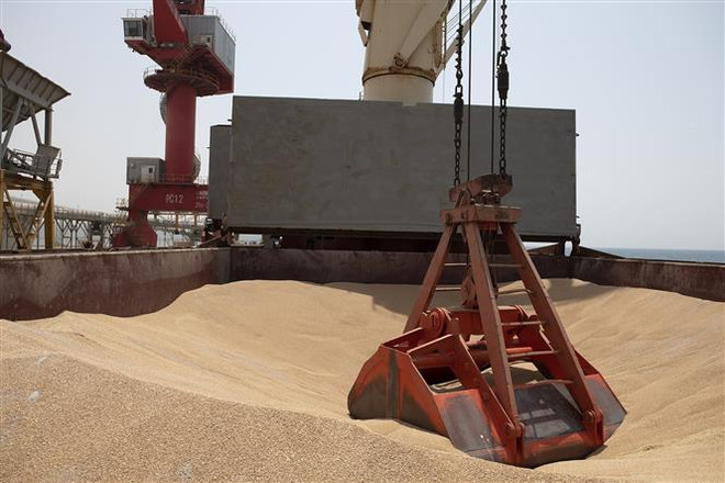 Tàu chở ngũ cốc của Ukraine cập cảng Djibouti ngày 30/8/2022. (Ảnh: AFP/TTXVN) Liên hợp quốc đánh giá hiệu quả thực hiện thỏa thuận ngũ cốc Biển Đen ảnh 1