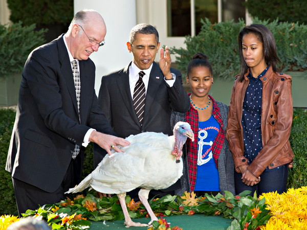 Tổng thống Obama lần thứ 7 liên tiếp thả gà tây trong lễ Tạ ơn ảnh 1