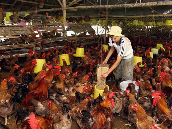 Đồng Nai huy động hơn 1.800 tỷ đồng cho giảm nghèo ảnh 1