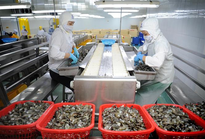 Kỳ vọng xuất khẩu thủy sản mang về 9 tỷ USD trong năm 2022 ảnh 2