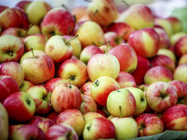 Lo ngại khuẩn, Sri Lanka ra lệnh cấm nhập khẩu táo từ Mỹ ảnh 1