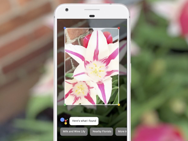 Google công bố ứng dụng Lens dùng trí tuệ nhân tạo cung cấp thông tin ảnh 2