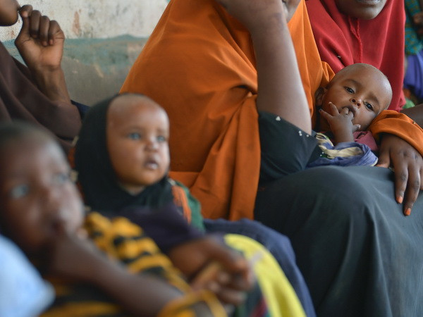 Hàng nghìn người Somalia sơ tán mỗi ngày do hạn hán nghiêm trọng ảnh 1