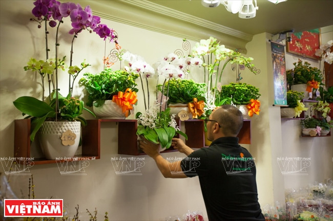 Ngỡ ngàng công nghệ trồng hoa màu không đâu có của Đà Lạt ảnh 23