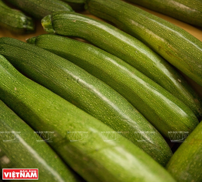 Ngỡ ngàng công nghệ trồng hoa màu không đâu có của Đà Lạt ảnh 17