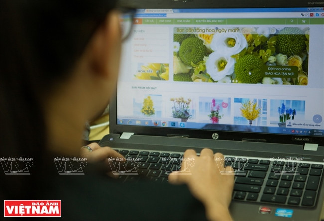 Ngỡ ngàng công nghệ trồng hoa màu không đâu có của Đà Lạt ảnh 16