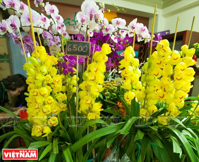 Ngỡ ngàng công nghệ trồng hoa màu không đâu có của Đà Lạt ảnh 22