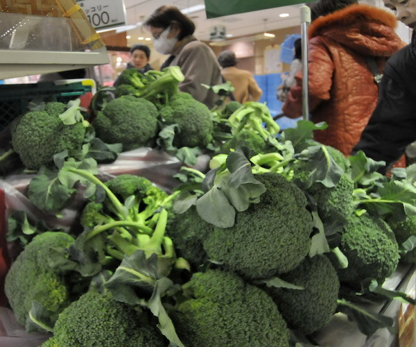 Nhật Bản chỉ trích việc Nga cấm nhập nông sản của nhiều nước ảnh 1