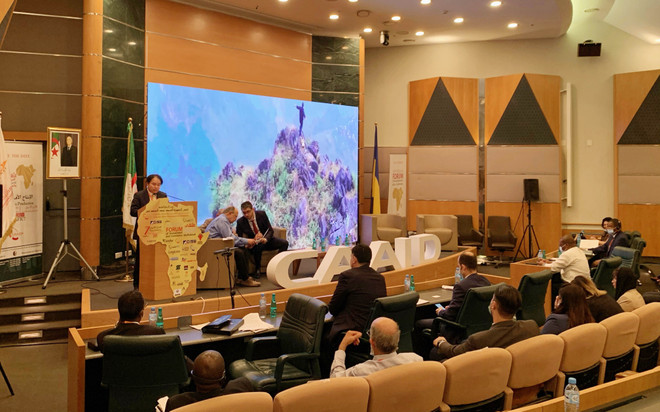 Việt Nam tích cực tìm kiếm cơ hội đầu tư và thương mại ở châu Phi ảnh 2