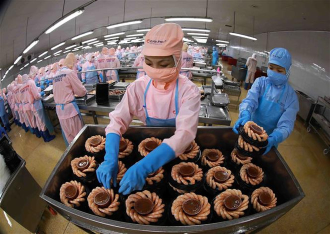 Tận dụng lợi thế để xuất khẩu tôm đạt mục tiêu năm 2023 ảnh 1