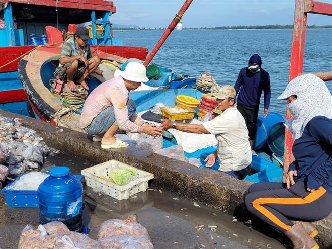 Tỉnh Bà Rịa-Vũng Tàu quyết tâm cao trong việc chống khai thác IUU ảnh 2