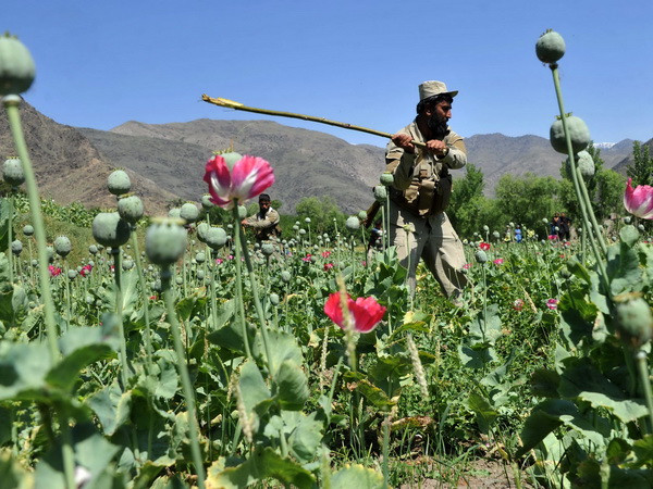 Không quân Colombia lần đầu tiên đánh bom sào huyệt tội phạm ma túy ảnh 1