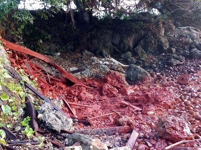 Papua New Guinea đóng cửa nhà máy của Trung Quốc sau sự cố tràn bùn ảnh 1