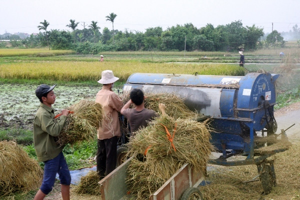 Bảo hiểm nông nghiệp: Vẫn lúng túng sau ba năm thí điểm ảnh 1
