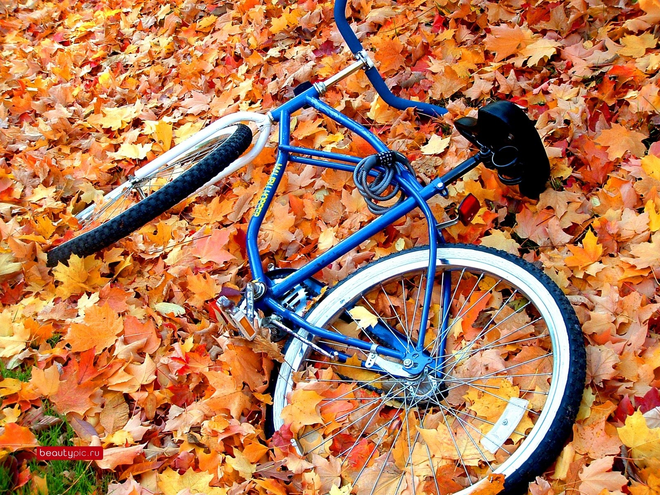 Một bệnh nhi nhiễm vi khuẩn tụ cầu vàng sau cú ngã xe đạp ảnh 1