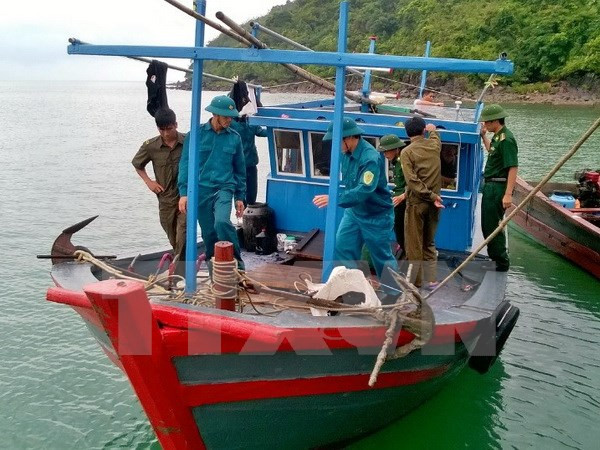 Doanh nghiệp độc quyền khiến bảo hiểm tàu cá bị hạn chế? ảnh 1