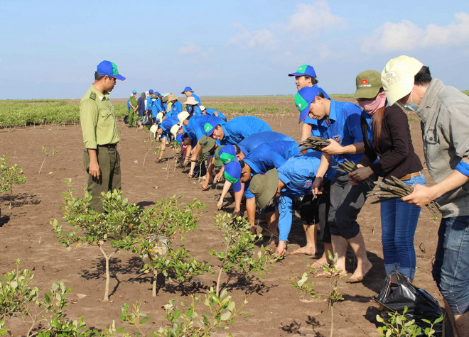 Việt Nam cùng quốc tế ứng phó với biến đổi khí hậu toàn cầu ảnh 1