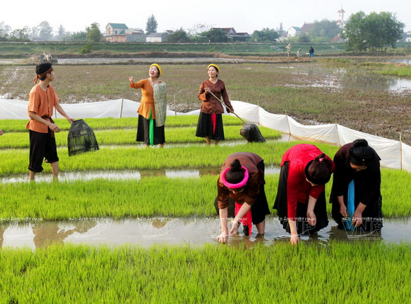 Về xứ Nghệ khám phá nét độc đáo của loại hình dân ca Ví, Giặm ảnh 12