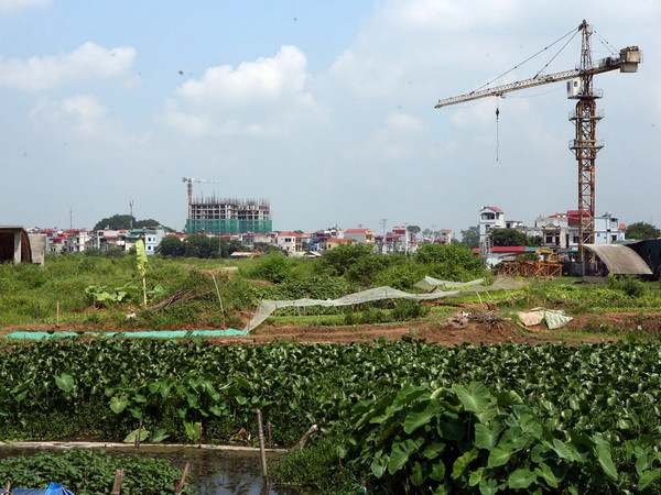 Hà Nội thu hồi gần 948ha đất sử dụng không hiệu quả ảnh 1