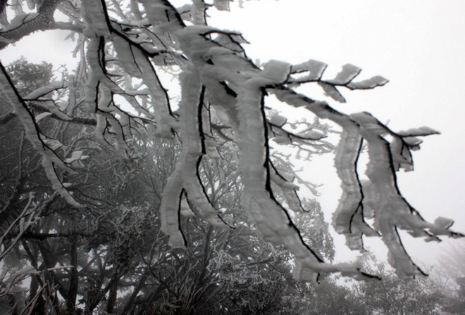 Băng tuyết phủ trắng trên đỉnh Phja Oắc của tỉnh Cao Bằng ảnh 1