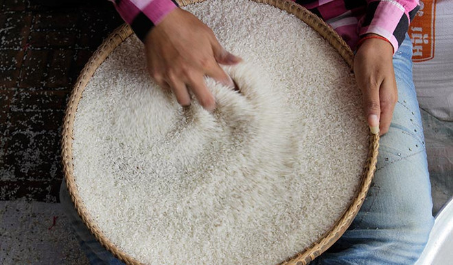 Trung Quốc cam kết nhập gần 400.000 tấn gạo từ Campuchia ảnh 1