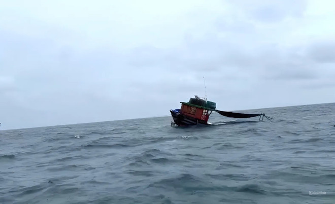 co to_cuu 3 ngu dan gap nan_2.jpeg