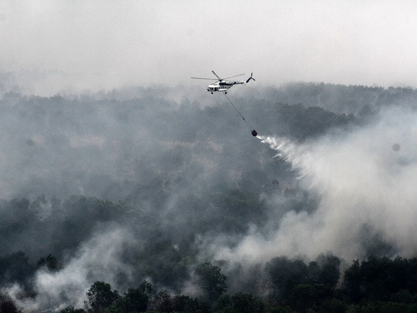 Malaysia-Indonesia đối thoại về chống cháy rừng và khói bụi ảnh 1