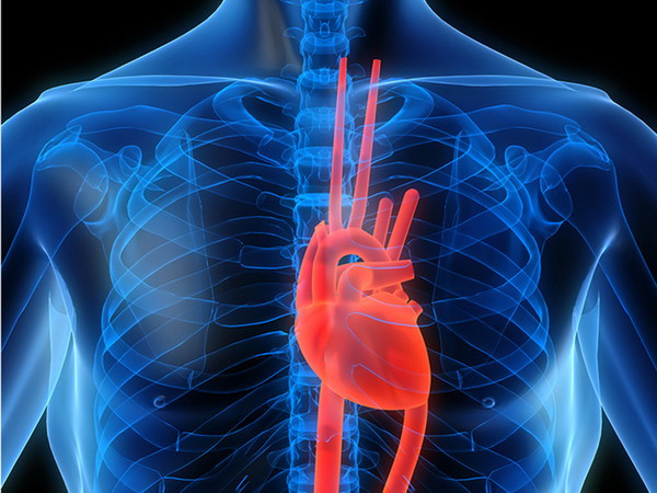 Người thiếu vitamin D trong máu dễ mắc các bệnh tim mạch ảnh 1