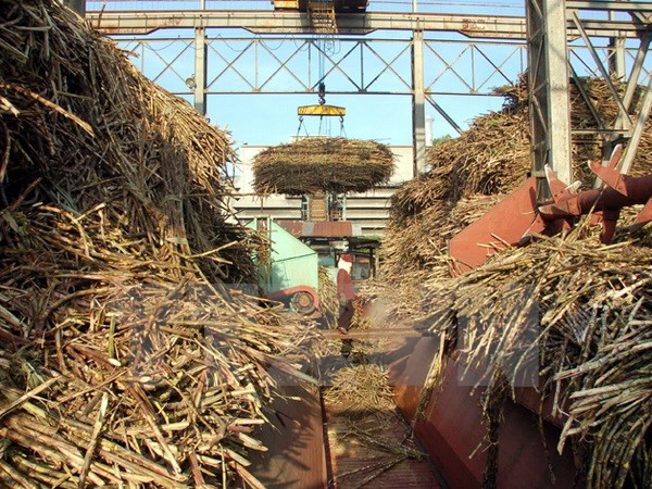 Những khó khăn gây thiệt hại cho ngành mía đường Trung Quốc ảnh 1