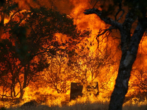 Đợt cháy rừng khủng khiếp tiếp tục hoành hành tại bang California ảnh 1