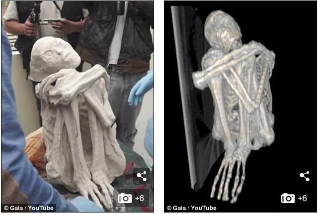 Phát hiện "xác ướp" kỳ lạ ở Peru được cho là của người ngoài hành tinh ảnh 2