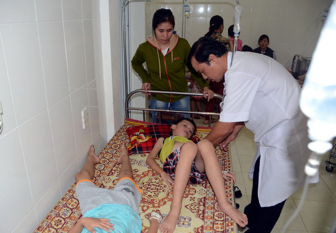 Hàng chục học sinh ở Nghệ An bị ngộ độc do ăn quả ngô đồng ảnh 1