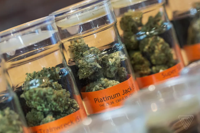 Google cấm các ứng dụng hỗ trợ bán cần sa trên Play Store ảnh 1