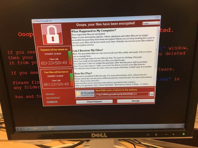 Pháp tìm ra cách cứu các tập tin nhiễm mã độc WannaCry ảnh 1